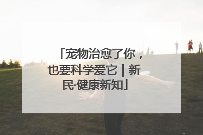 宠物治愈了你，也要科学爱它｜新民·健康新知