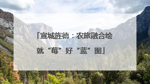 宣城旌德：农旅融合绘就“莓”好“蓝”图