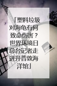 塑料垃圾对海龟有何致命伤害？世界环境日总台记者走进开普敦海洋馆