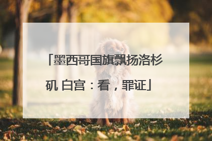墨西哥国旗飘扬洛杉矶 白宫：看，罪证