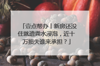 壹点帮办丨新房还没住就遭粪水浸泡，近十万损失谁来承担？