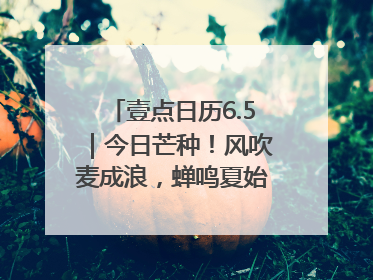 壹点日历6.5｜今日芒种！风吹麦成浪，蝉鸣夏始忙！大家早安