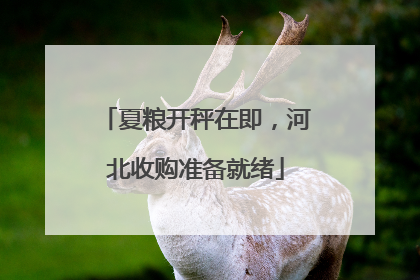 夏粮开秤在即，河北收购准备就绪