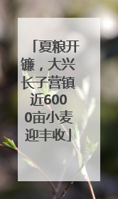 夏粮开镰，大兴长子营镇近6000亩小麦迎丰收