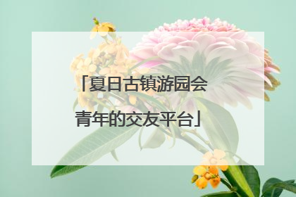 夏日古镇游园会 青年的交友平台