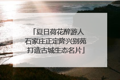 夏日荷花醉游人 石家庄正定隆兴别苑打造古城生态名片