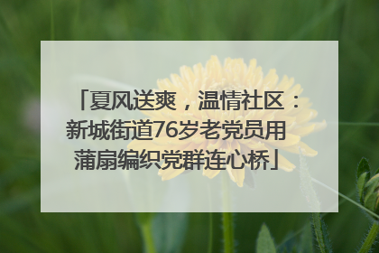 夏风送爽，温情社区：新城街道76岁老党员用蒲扇编织党群连心桥