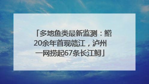 多地鱼类最新监测：鳤20余年首现赣江，泸州一网捞起67条长江鲟