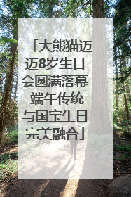 大熊猫迈迈8岁生日会圆满落幕 端午传统与国宝生日完美融合
