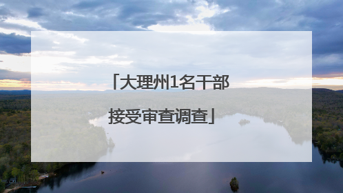 大理州1名干部接受审查调查