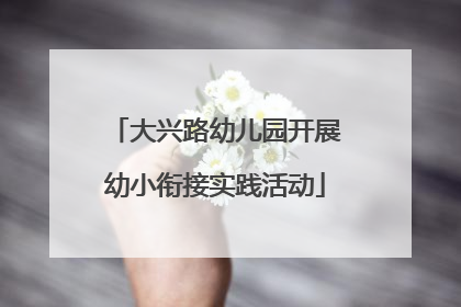 大兴路幼儿园开展幼小衔接实践活动