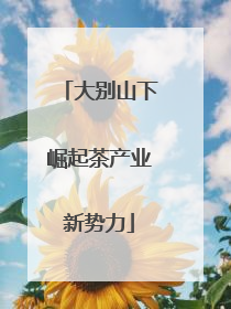 大别山下崛起茶产业新势力