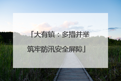 大有镇：多措并举筑牢防汛安全屏障