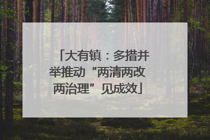 大有镇：多措并举推动“两清两改两治理”见成效