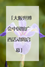 大阪世博会中国馆广西活动周启幕