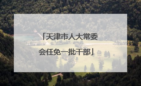 天津市人大常委会任免一批干部