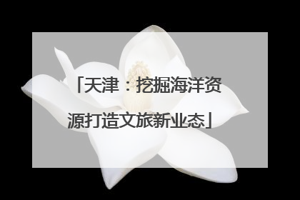 天津：挖掘海洋资源打造文旅新业态