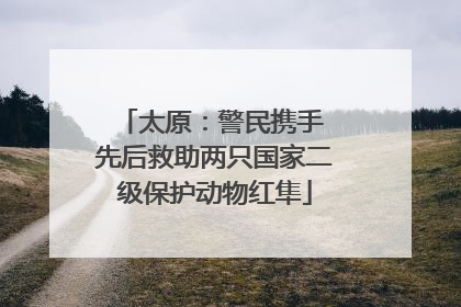 太原：警民携手 先后救助两只国家二级保护动物红隼