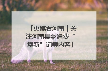 央媒看河南｜关注河南县乡消费“焕新”记等内容