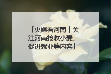 央媒看河南｜关注河南抢收小麦、促进就业等内容