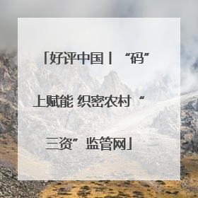 好评中国丨“码”上赋能 织密农村“三资”监管网