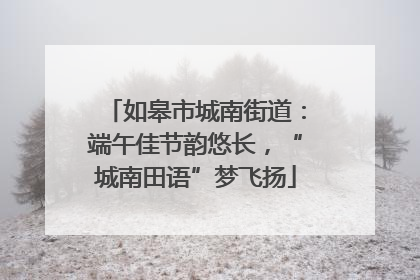 如皋市城南街道：端午佳节韵悠长，“城南田语”梦飞扬