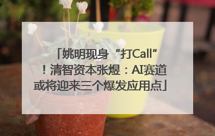 姚明现身“打Call”！清智资本张煜：AI赛道或将迎来三个爆发应用点