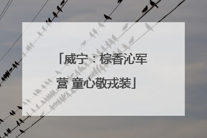 威宁：棕香沁军营 童心敬戎装