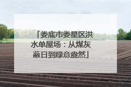 娄底市娄星区洪水单屋场：从煤灰蔽日到绿意盎然