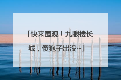 快来围观！九眼楼长城，傻狍子出没~