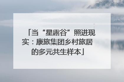 当“星露谷”照进现实：康旅集团乡村旅居的多元共生样本
