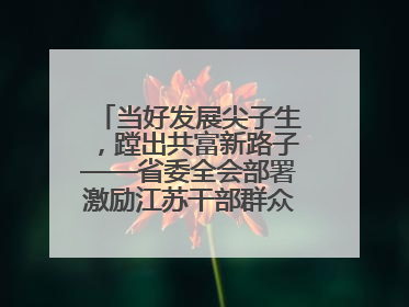当好发展尖子生，蹚出共富新路子——省委全会部署激励江苏干部群众促进全体人民共同富裕