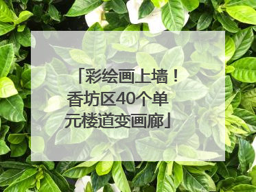 彩绘画上墙！香坊区40个单元楼道变画廊