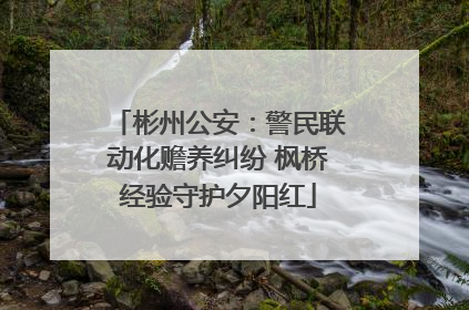 彬州公安：警民联动化赡养纠纷 枫桥经验守护夕阳红
