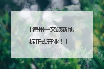 德州一文旅新地标正式开业！