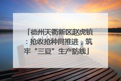德州天衢新区赵虎镇：抢收抢种同推进，筑牢“三夏”生产防线