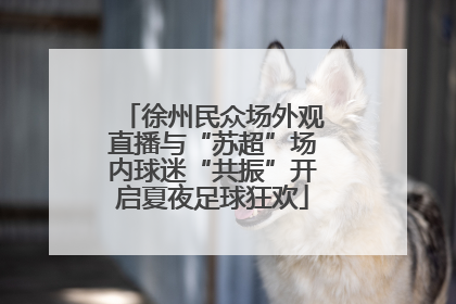 徐州民众场外观直播与“苏超”场内球迷“共振”开启夏夜足球狂欢