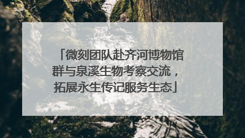 微刻团队赴齐河博物馆群与泉溪生物考察交流，拓展永生传记服务生态
