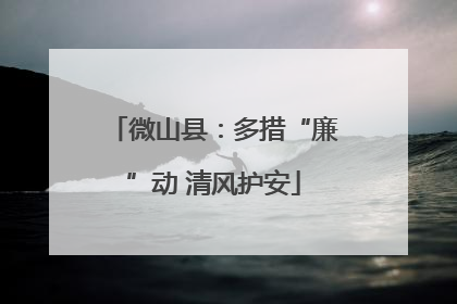 微山县：多措“廉”动 清风护安