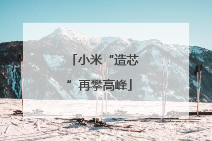 小米“造芯”再攀高峰