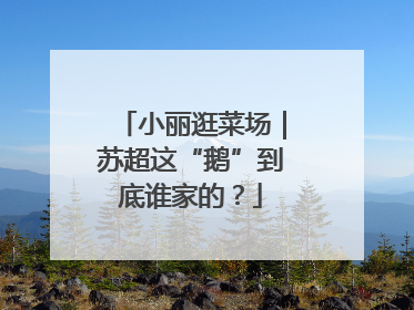小丽逛菜场｜苏超这“鹅”到底谁家的？