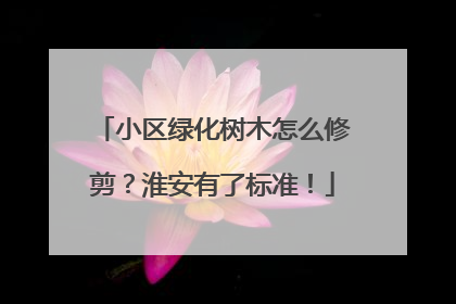 小区绿化树木怎么修剪？淮安有了标准！