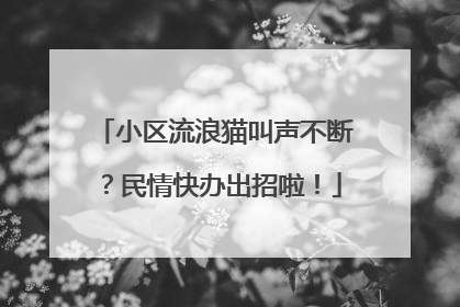 小区流浪猫叫声不断？民情快办出招啦！