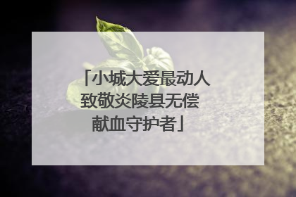 小城大爱最动人 致敬炎陵县无偿献血守护者