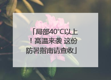 局部40℃以上！高温来袭 这份防暑指南请查收