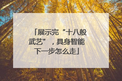 展示完“十八般武艺”，具身智能下一步怎么走