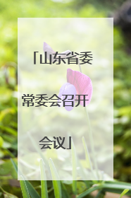 山东省委常委会召开会议