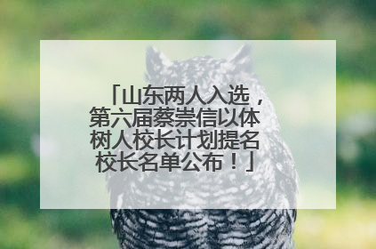 山东两人入选，第六届蔡崇信以体树人校长计划提名校长名单公布！