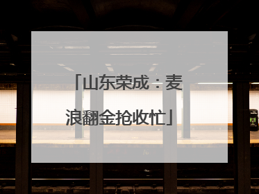 山东荣成：麦浪翻金抢收忙