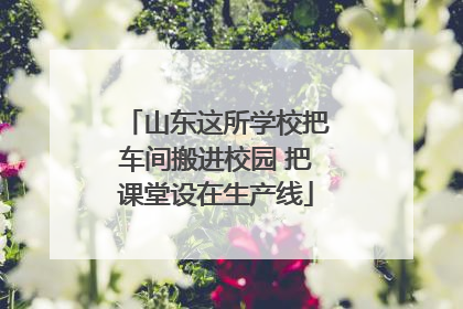 山东这所学校把车间搬进校园 把课堂设在生产线